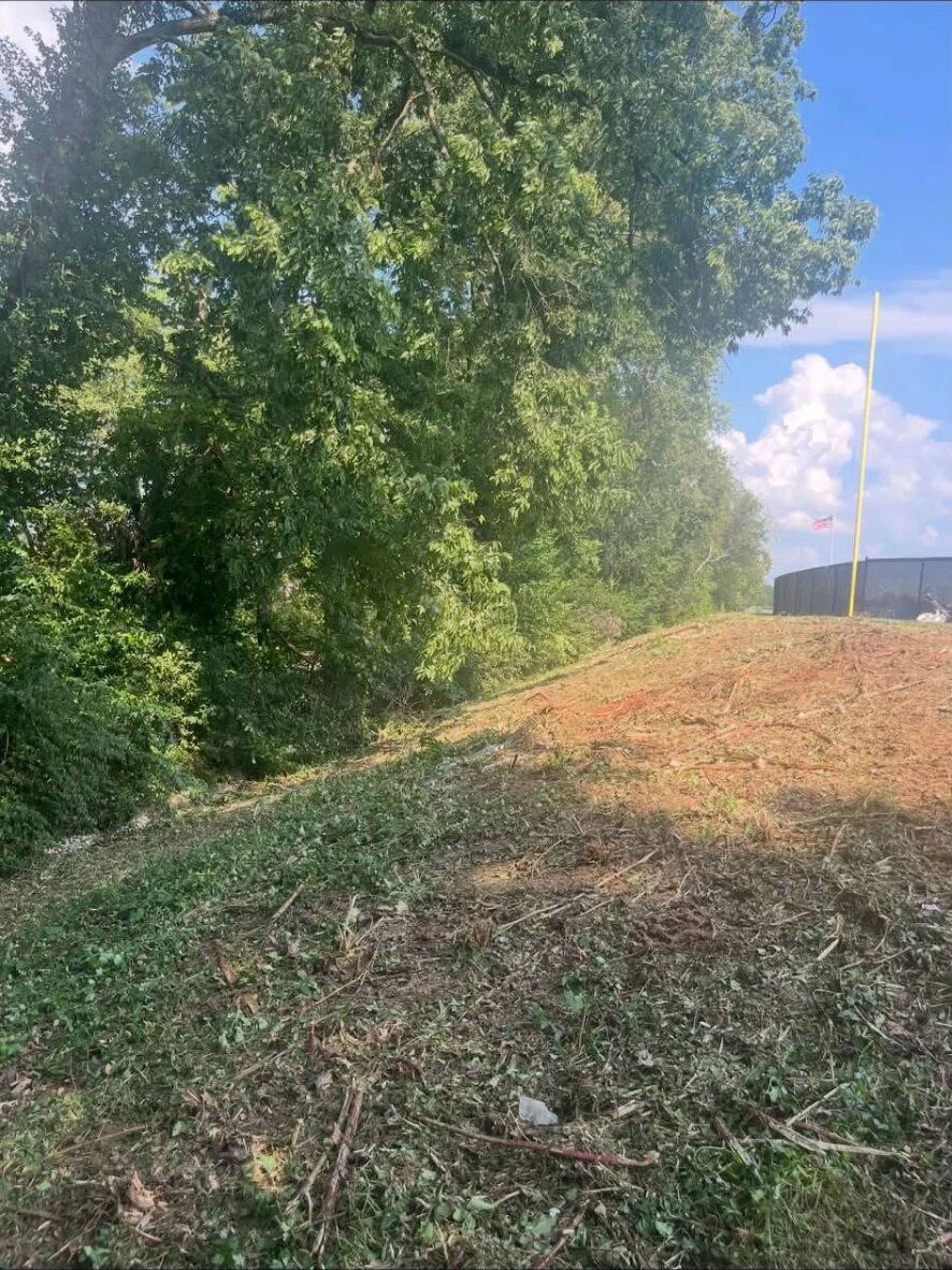 Forestry mulching in Lexington KY